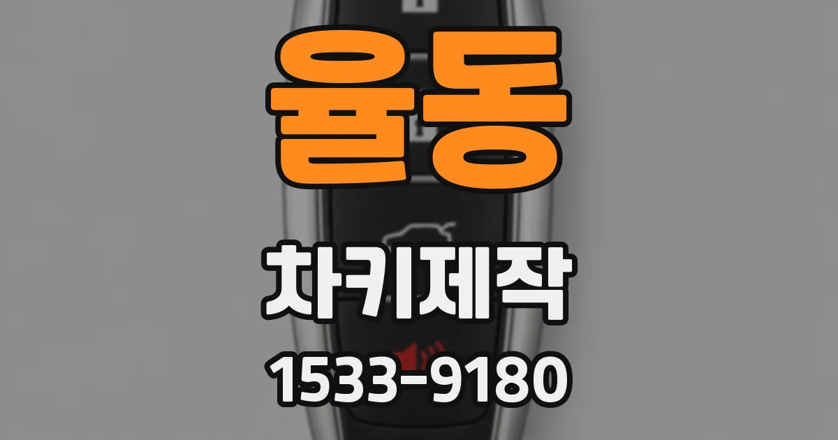 율동 차키제작