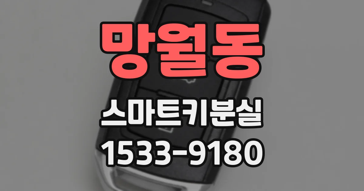 망월동 스마트키분실