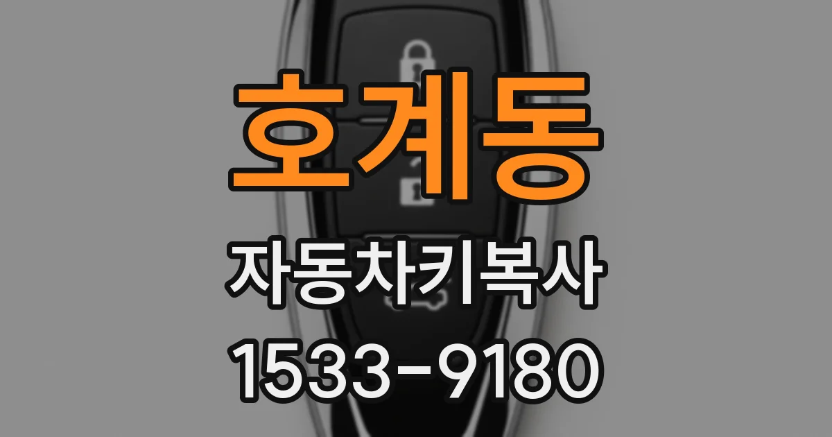 호계동 자동차키복사