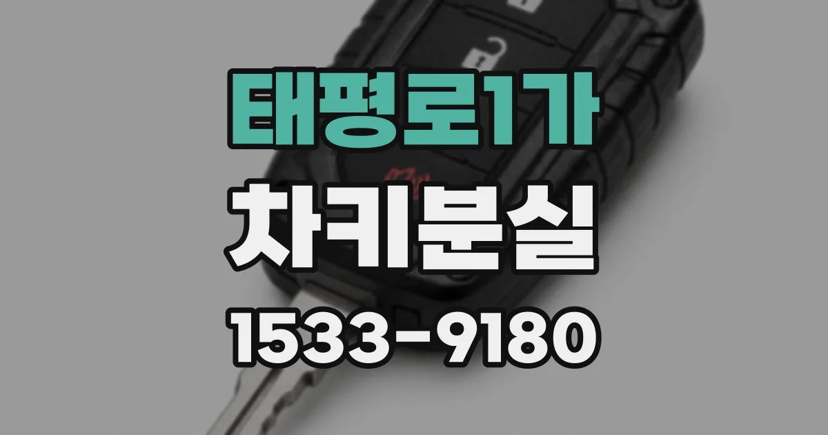 태평로1가 차키분실
