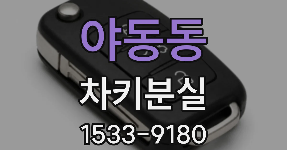 야동동 차키분실