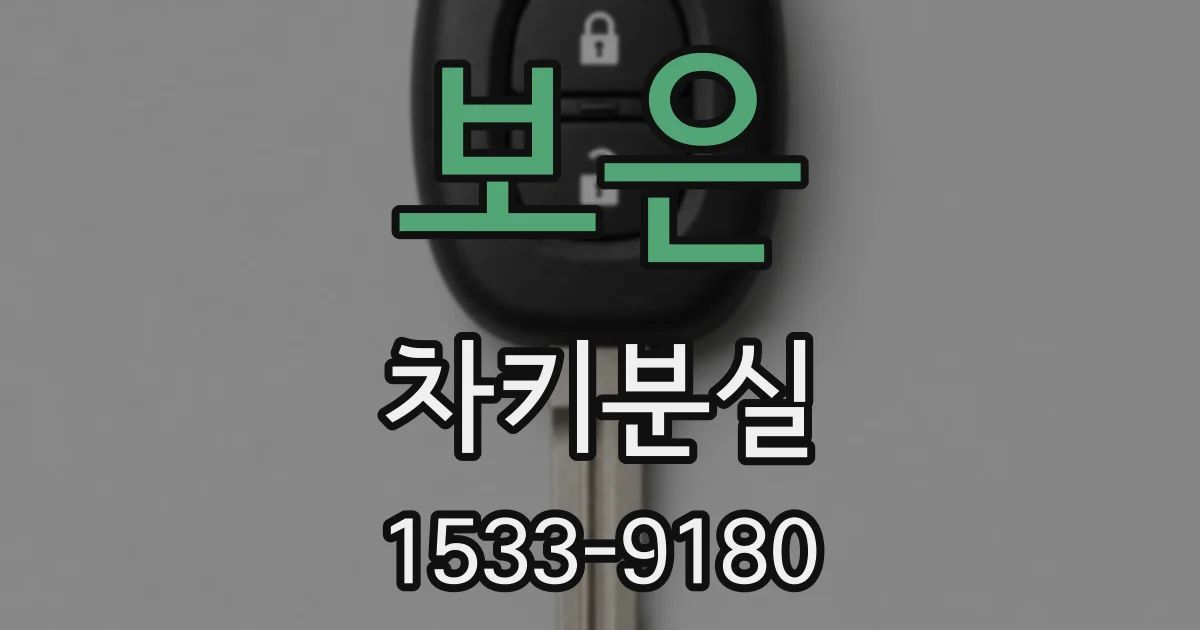 보은 차키분실