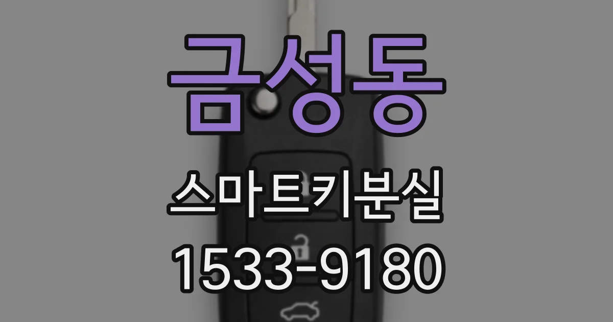 금성동 스마트키분실