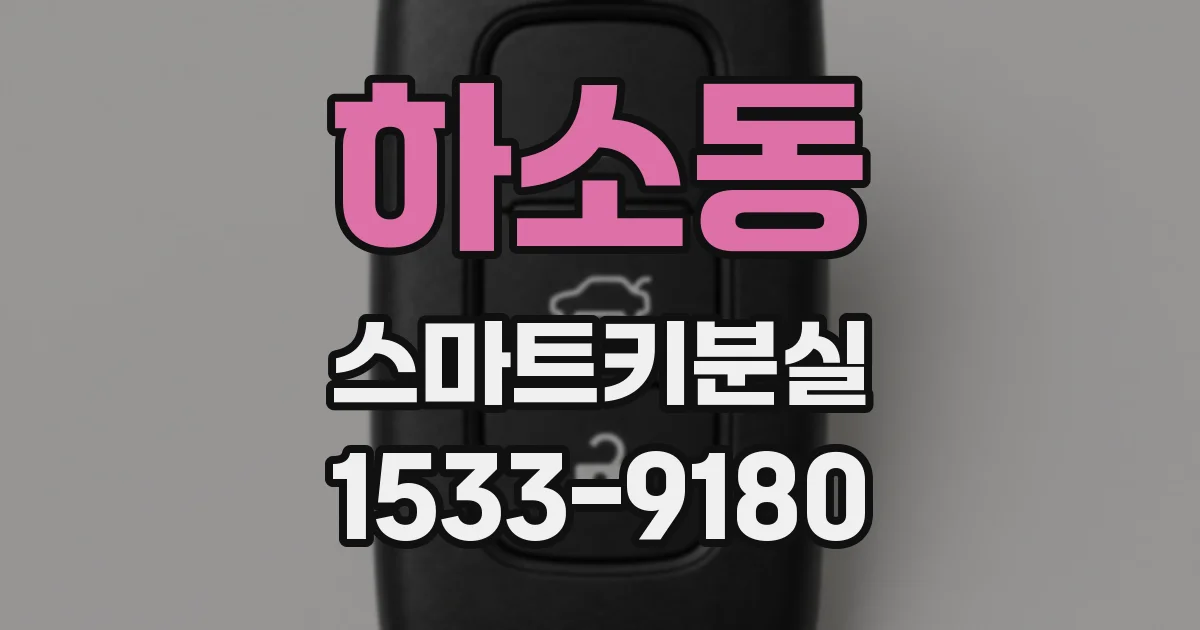 하소동 스마트키분실