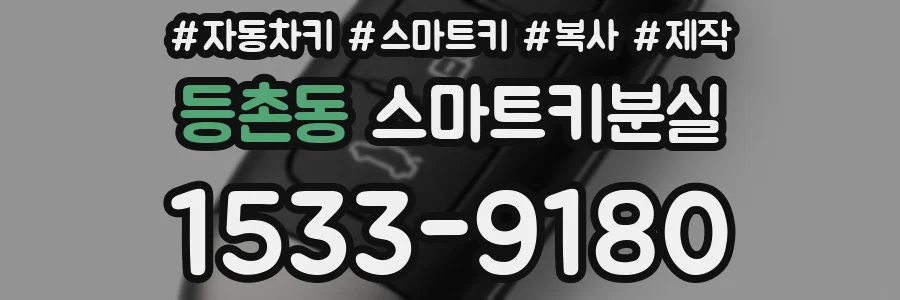 등촌동 스마트키분실