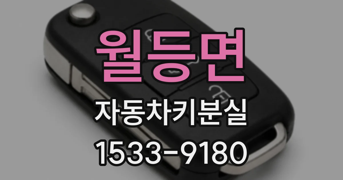 월등면 자동차키분실