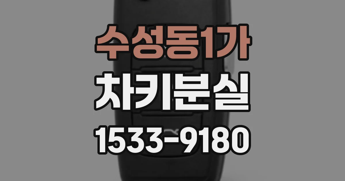 수성동1가 차키분실