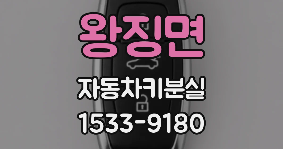 왕징면 자동차키분실