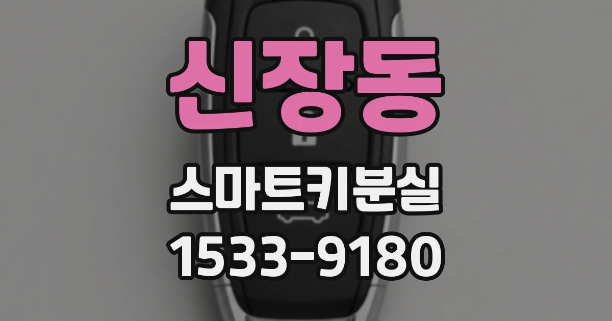신장동 스마트키분실
