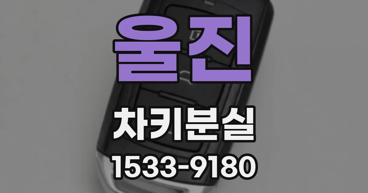 울진 차키분실