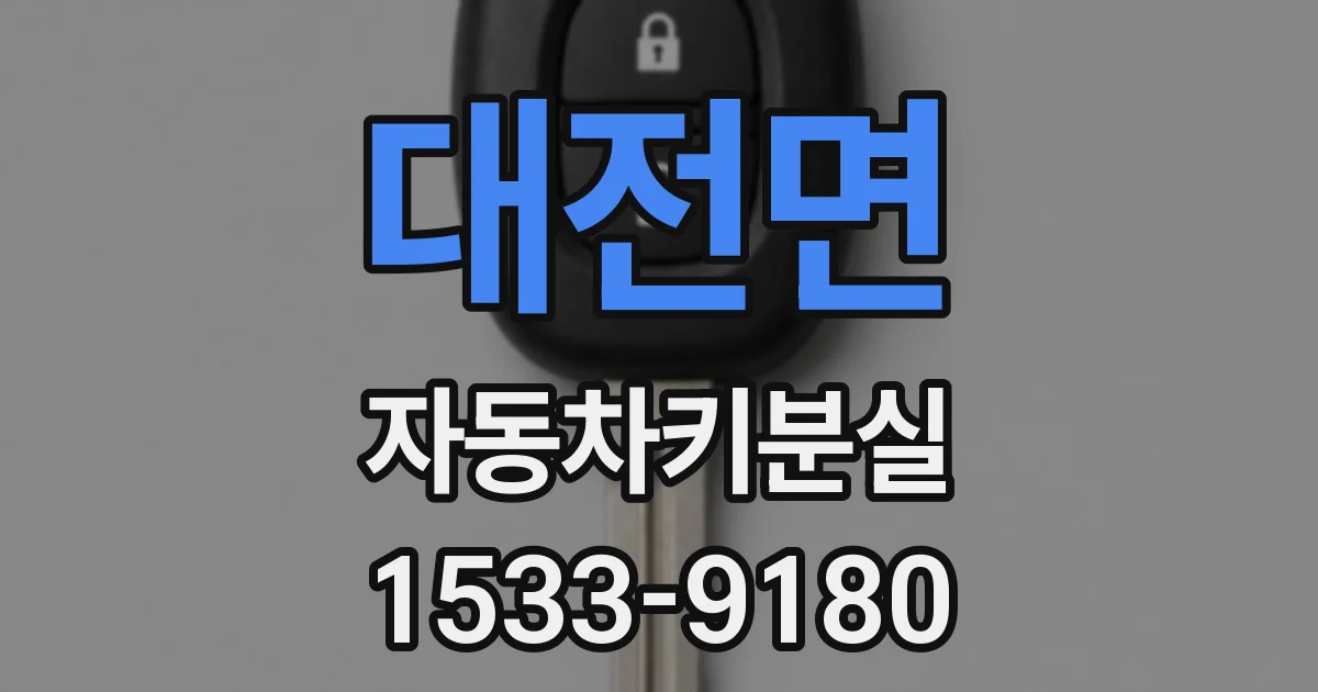대전면 자동차키분실