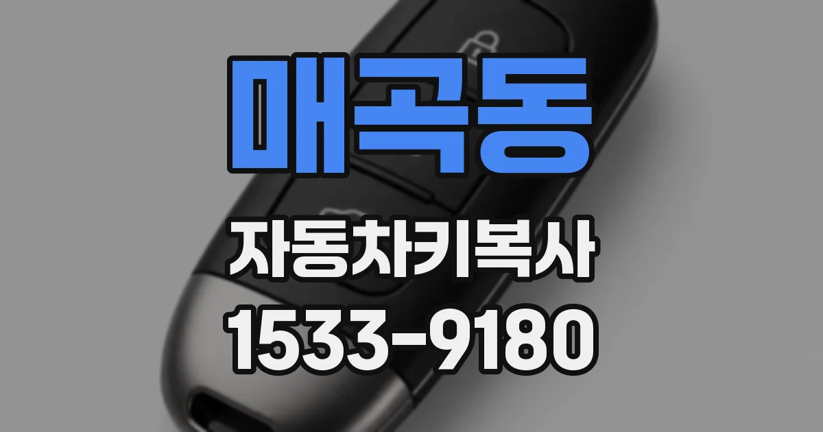매곡동 자동차키복사