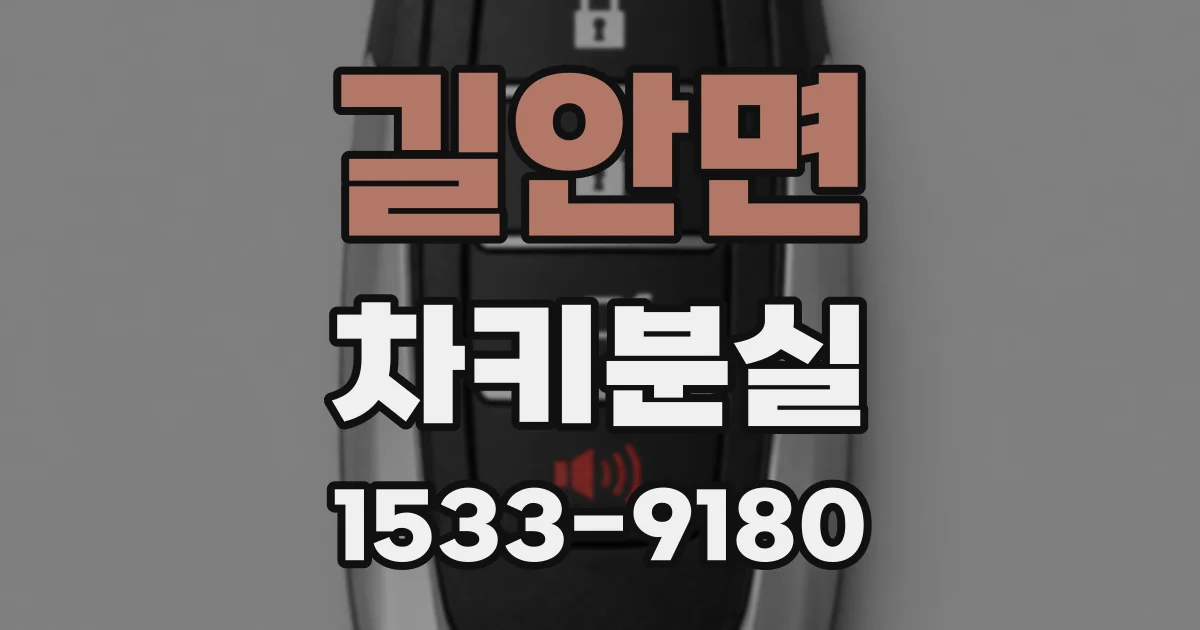 길안면 차키분실