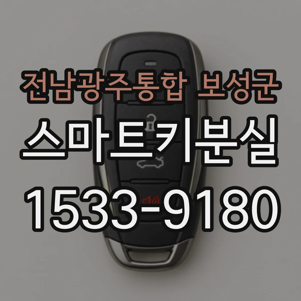 전남광주통합 보성군 스마트키분실