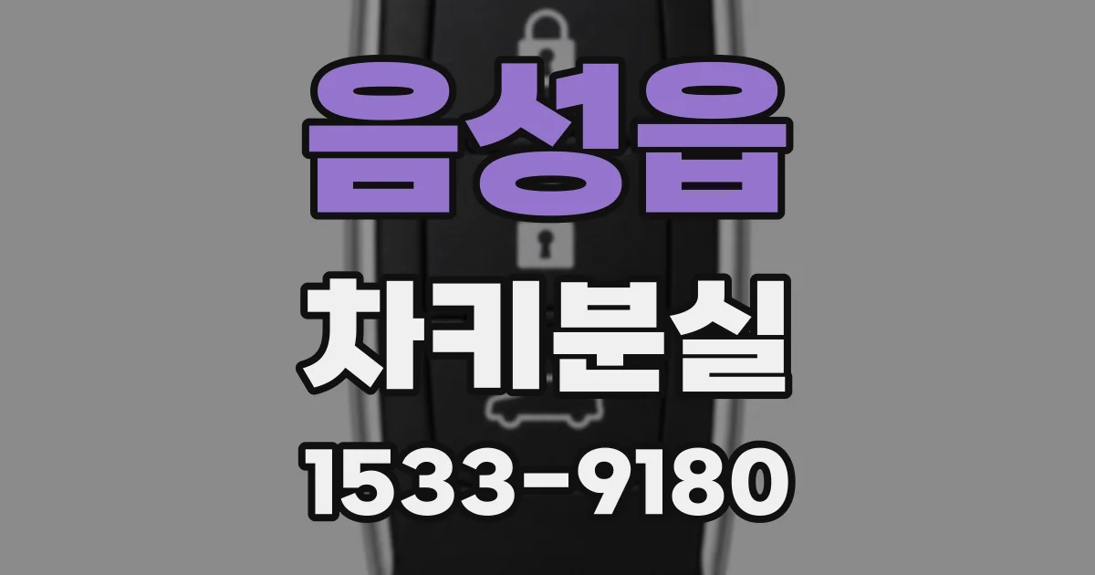 음성읍 차키분실