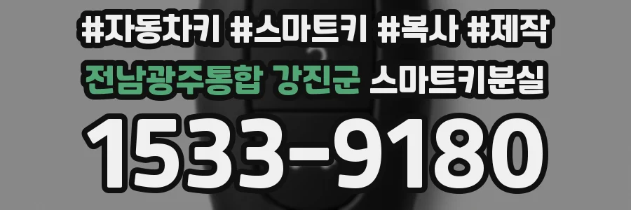 전남광주통합 강진군 스마트키분실
