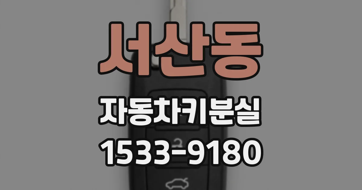 서산동 자동차키분실