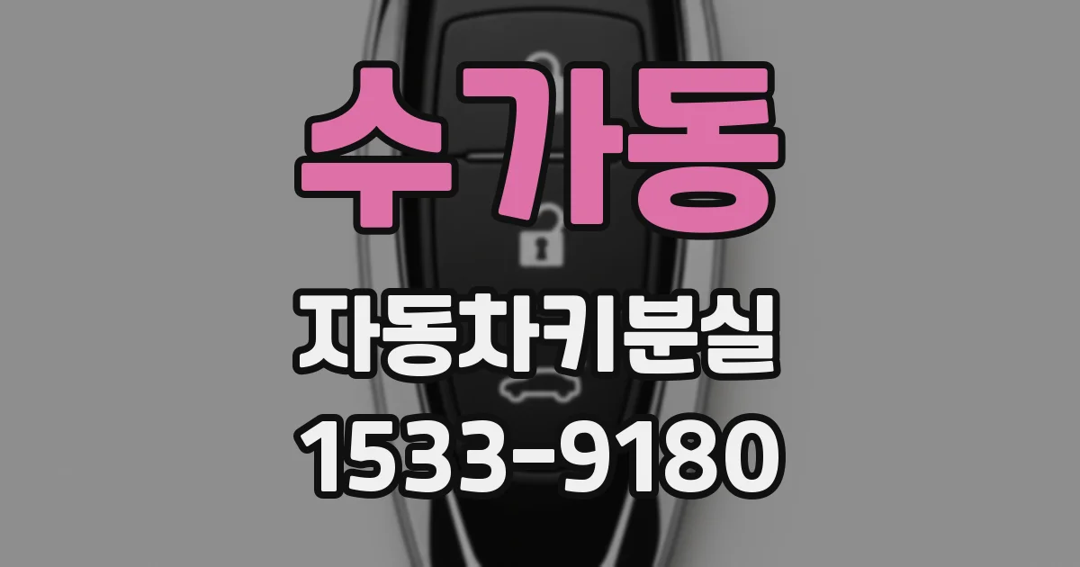 수가동 자동차키분실