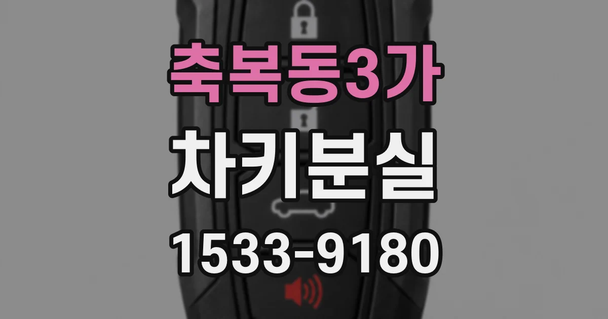 축복동3가 차키분실