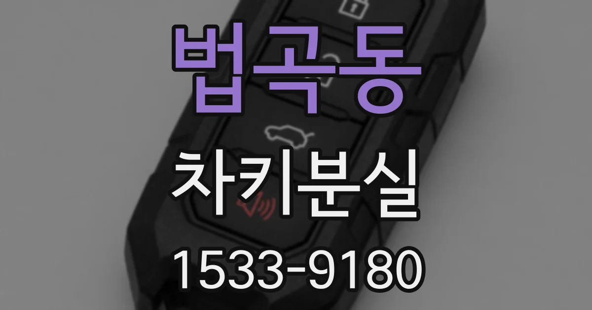 법곡동 차키분실