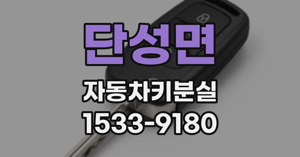 단성면 자동차키분실