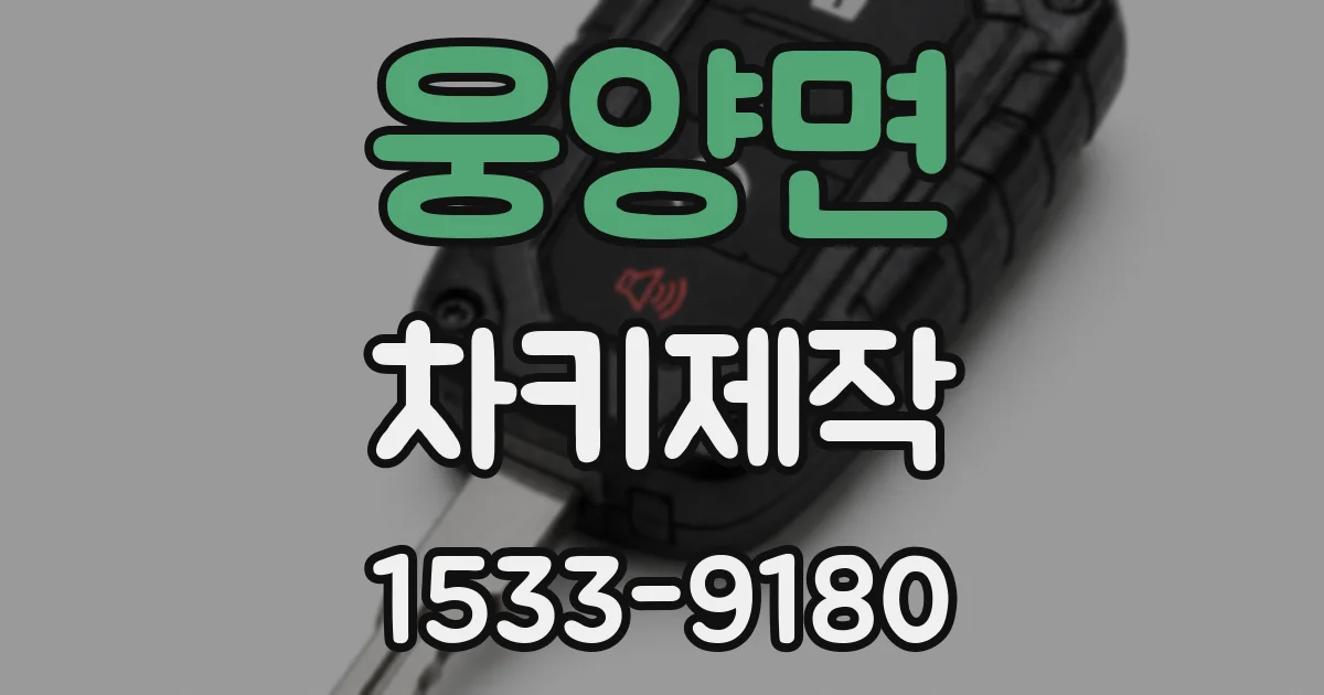 웅양면 차키제작