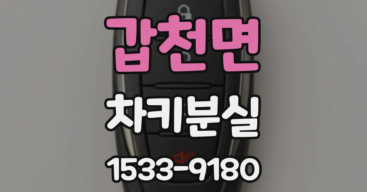 갑천면 차키분실