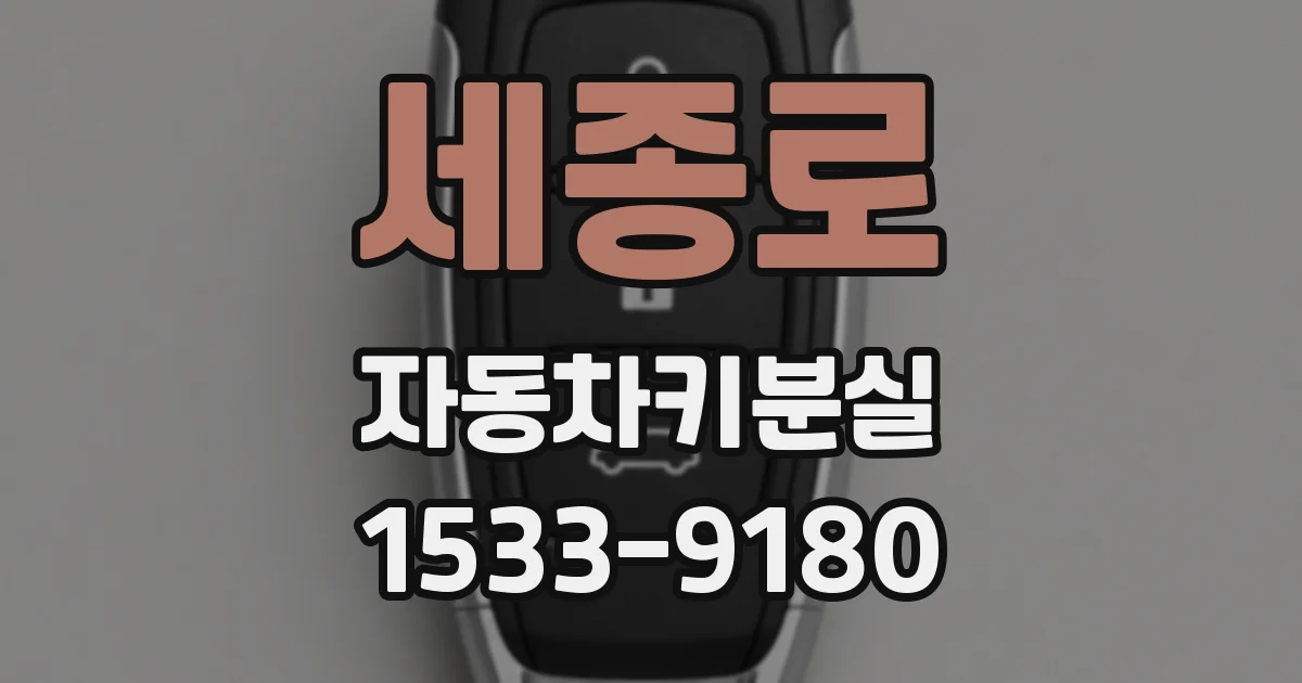 세종로 자동차키분실