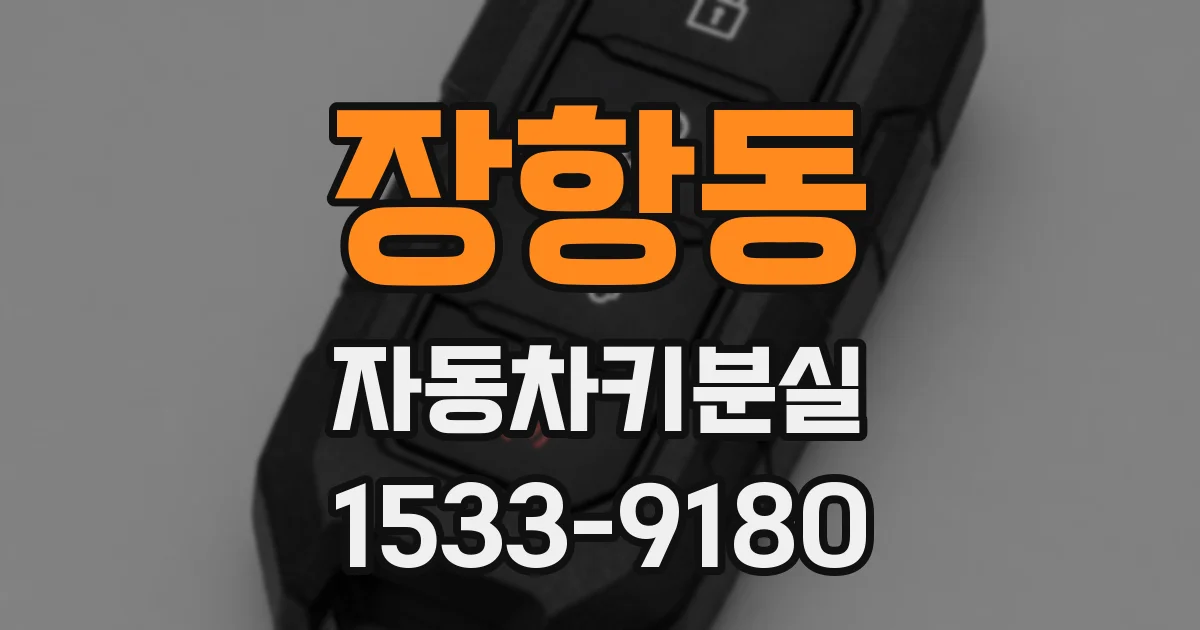 장항동 자동차키분실