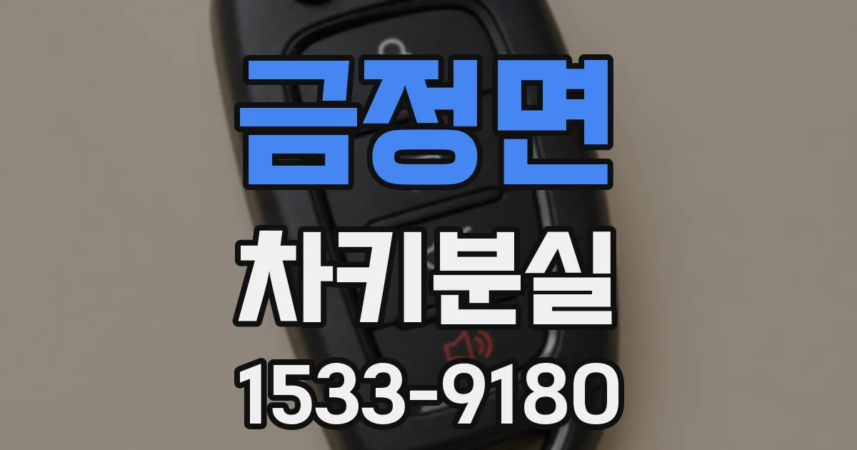 금정면 차키분실