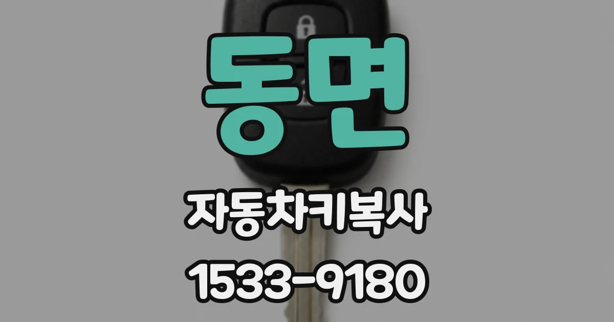동면 자동차키복사