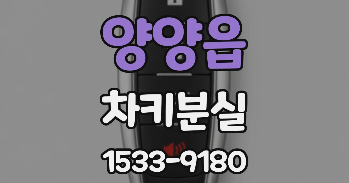 양양읍 차키분실