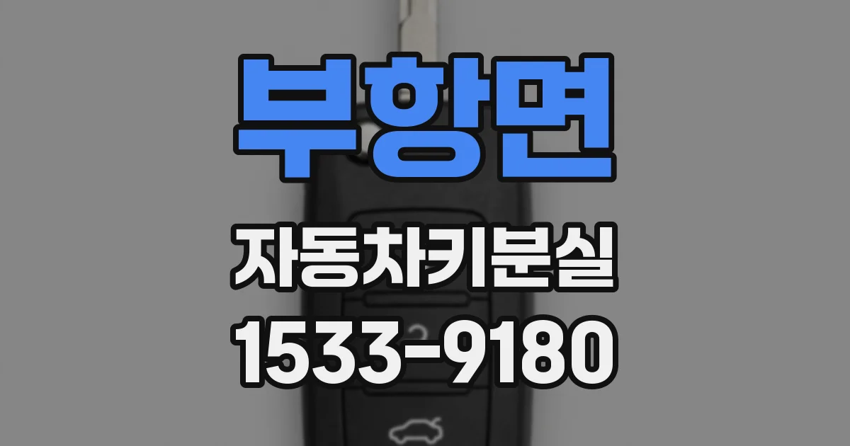 부항면 자동차키분실