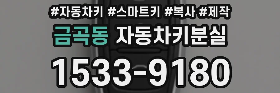 금곡동 자동차키분실