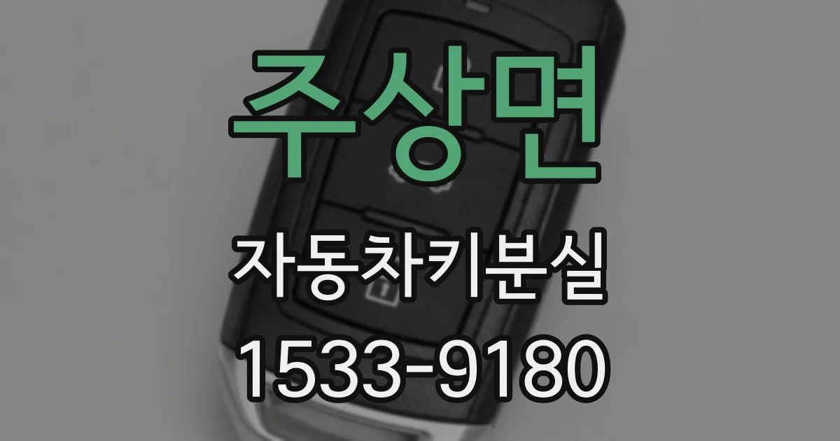 주상면 자동차키분실