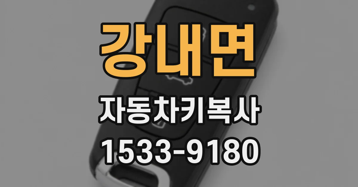 강내면 자동차키복사