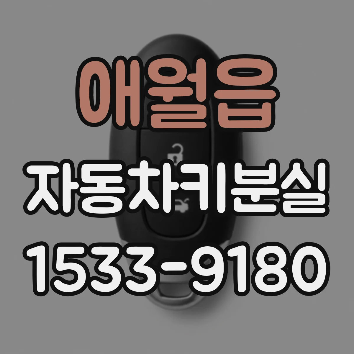 애월읍 자동차키분실