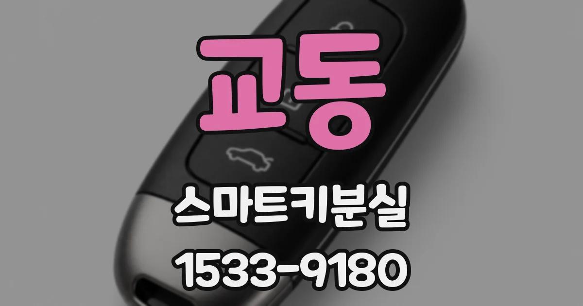 교동 스마트키분실