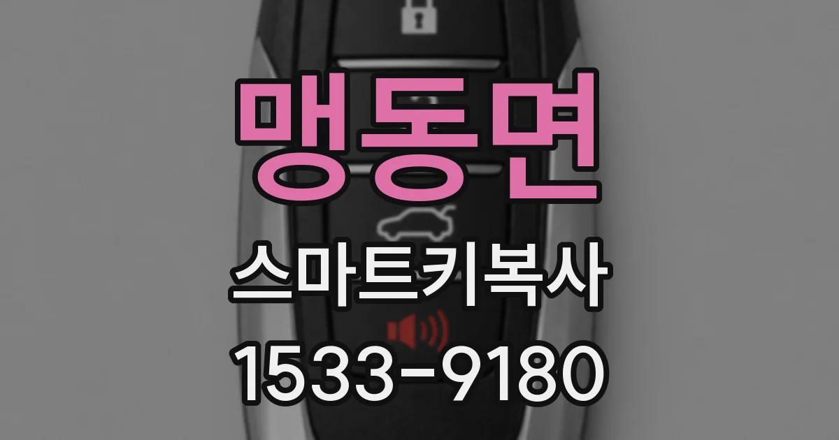 맹동면 스마트키복사