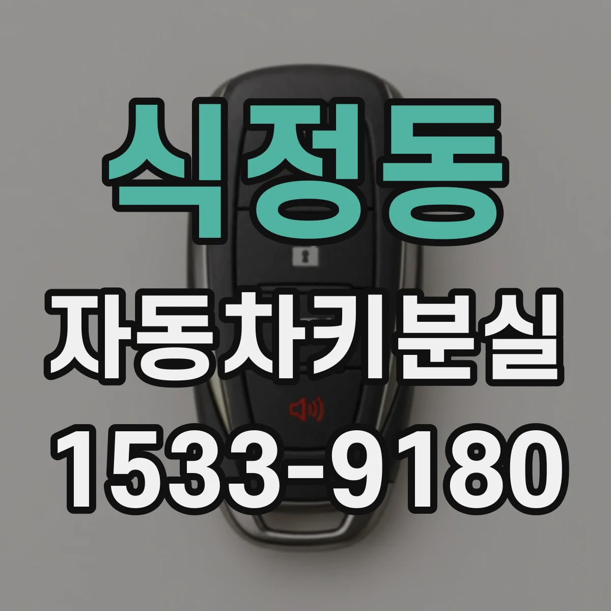 식정동 자동차키분실