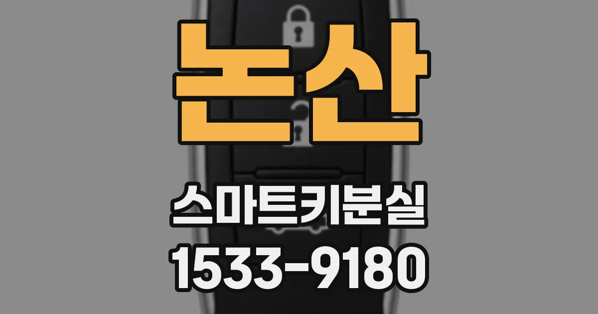 논산 스마트키분실