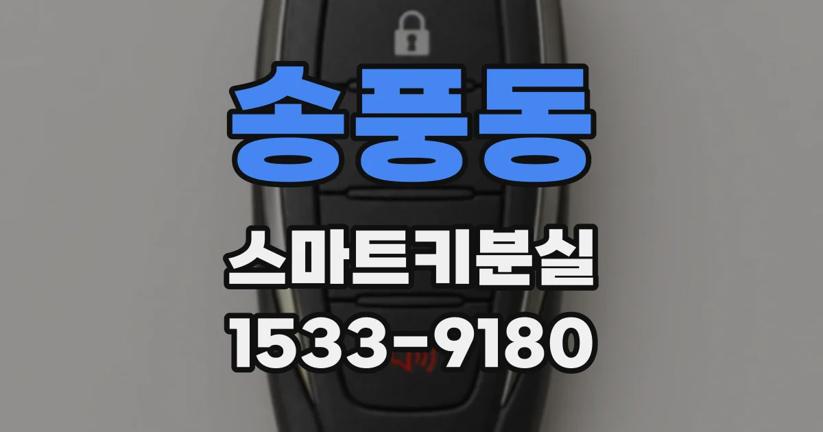 송풍동 스마트키분실