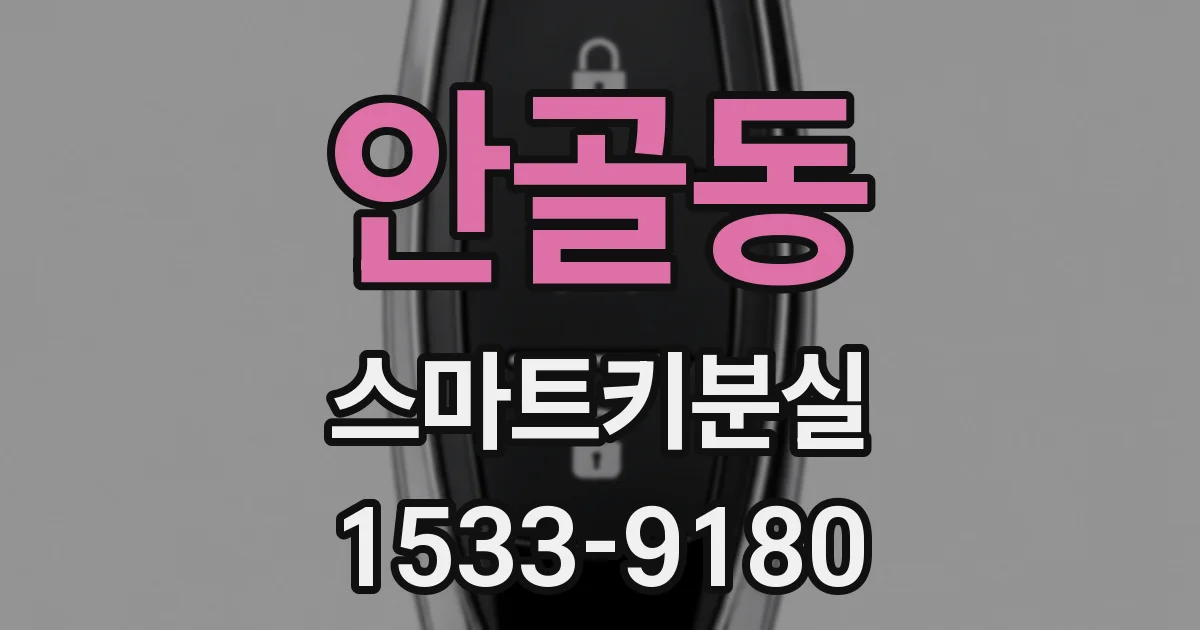 안골동 스마트키분실