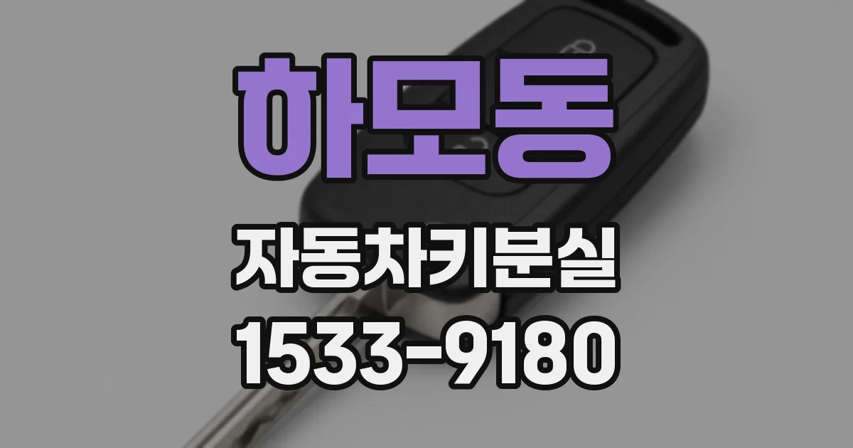 하모동 자동차키분실