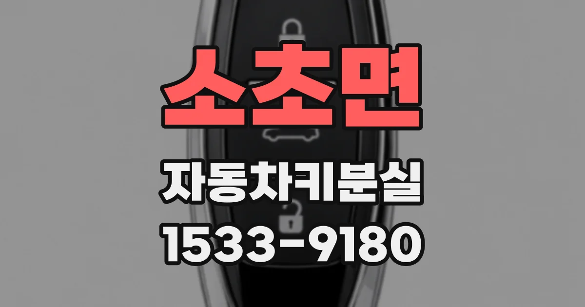 소초면 자동차키분실