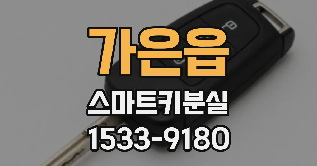 가은읍 스마트키분실