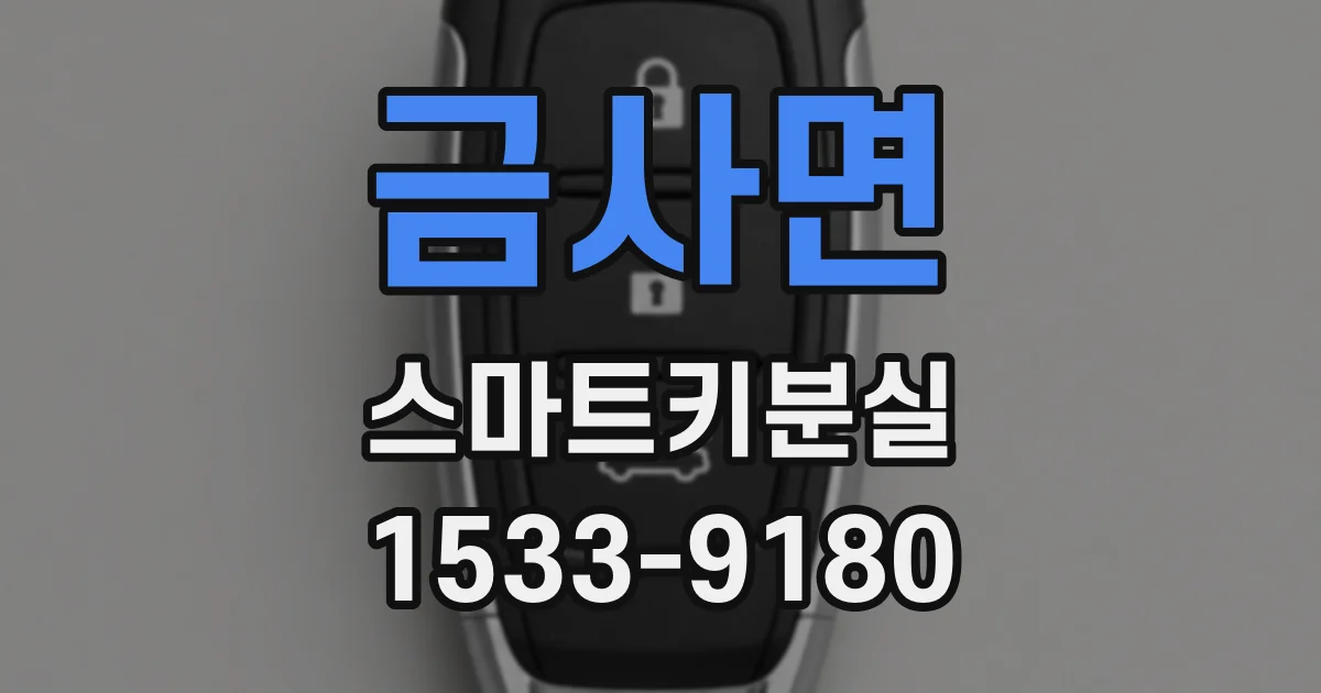 금사면 스마트키분실