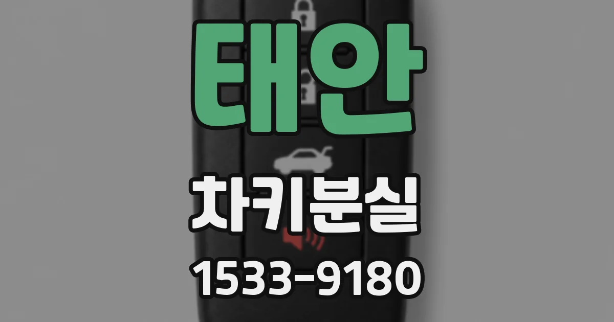 태안 차키분실