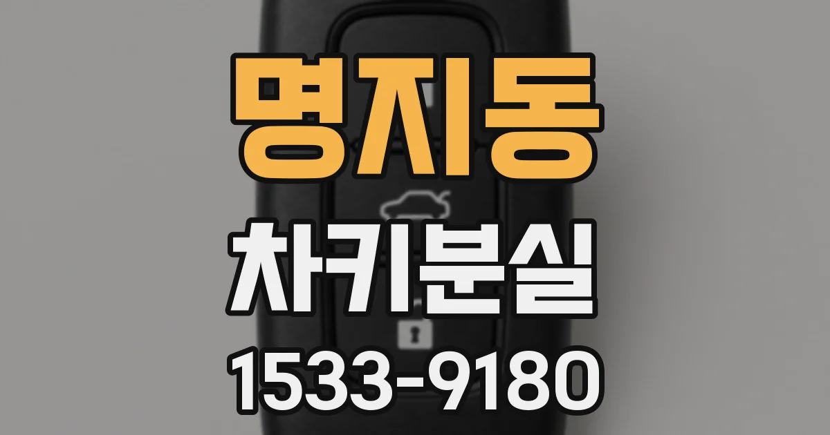 명지동 차키분실