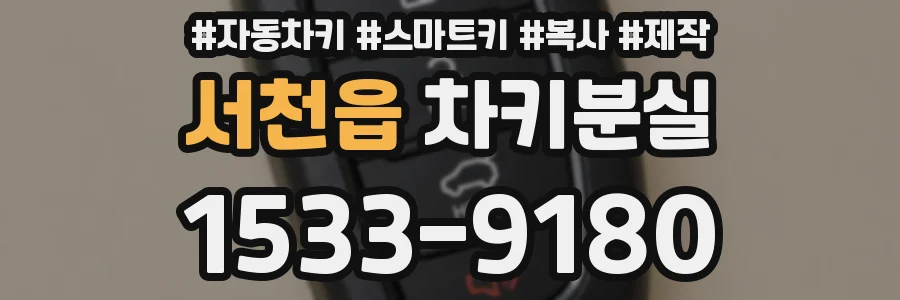서천읍 차키분실